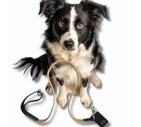 Luxury Handcrafted Dog Lead, Yellow Cord & Black Leather for Medium Dogs & Puppies, Made in UK, Vegetable-Dyed Italian Leather and Wide Wale Corduroy, Designer Pet Leash (Medium)