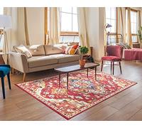 Luxury Large Area Rugs Traditional Oriental Classic Large Small Medium Living Room Rug Hallway Runner Rug Picnic Mat Outdoor Carpets (Rose, 160 x 230 cm)