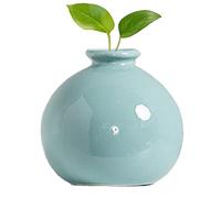 Luxury Modern Small Bud Vases & Mini Ceramic Flower Vases for Office/Home Decor #6