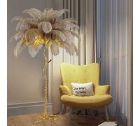 Luxury Ostrich Feather Floor Lamp, Nordic Decoration LED Dimmable Standing Lamp, E27 Light Sources Bedroom Reading Lamp, Tall Corner Lamp for Living Room, Dining Room and Office It's so Kind of You