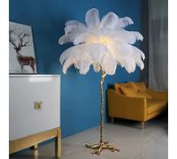 Luxury Ostrich Feather Floor Lamp, Nordic Decoration LED Dimmable Standing Lamp, E27 Light Sources Bedroom Reading Lamp, Tall Corner Lamp for Living Room, Dining Room and Office It's so kind of you