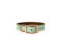 Luxury Padded Leather Dog Collar Skye & Murphy Light Green M