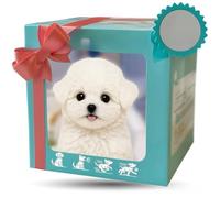 Luxury pet gift set with interactive packaging and design, complete with barking and moving features - the perfect choice for celebratory occasions G