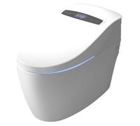 Luxury Platinum 2 Plus Monoblock Japanese Toilet TopToilet