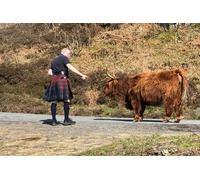 Luxury Private Tour of The Highlands