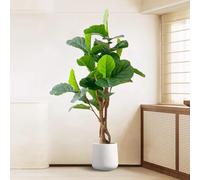 Luxury Simulated Fiddle Leaf Fig Tree with Flower Pot - Realistic Artificial Decorative Bonsai Plant, 170CM Tall Floor Plant for Home Decoration