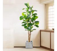 Luxury Simulated Fiddle Leaf Fig Tree with Flower Pot - Realistic Artificial Decorative Bonsai Plant, 170CM Tall Floor Plant for Home Decoration