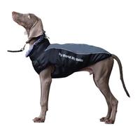 Luxury Thickened Large Dog Winter Warm Reflective Windbreaker, Windproof, Waterproof & Fleece-Lined Pet Clothing, Easy-to-Wear Dog Outdoor Waterproof Coat (Meteorite Gray, XL)