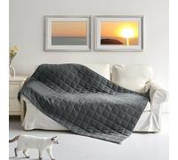 Luxury Weighted Blanket - Anti-Allergy, Anti-Bacterial, Stress-Relief, Sleep Aid - Premium Quality, Soft & Breathable - (Charcoal Grey, Large 150x200cm, 6.8kg/15lb)