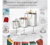 Luxury White Gift Bags with Black Trim - Reusable Premium Paper Bags with Ribbon Handles | For All Occasions |Black -Champagne-Large - Pack of 3