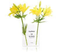 Luxxe Haus Acrylic Book Vase - Rectangular Transparent Vase - Modern Botanical Flower Vase - Home & Bedroom Decor - Gift for Women's Day, Mother's Day, Anniversary & Birthday