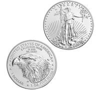 Luxylei Goddess Commemorative Coin Medal Coin Eagle Ocean Souvenir Metal Wishing Coin Decoration Crafts Business Gift