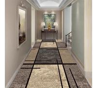 Luyckfrazy Carpet Runners for Hallways 1.5m 2m 2.5m 3m 3.5m 4m 5m 6m Non Slip Narrow Runner Rug Extra Long Hall Runner Washable Kitchen Floor Mat for Stairs Entrance Hotel(Size:80×300cm/2.6ft×9.8ft)