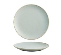 Luyckfrazy Ceramic Salad Plate Ceramic Serving Dish for Camping Outdoor Every Day Use(B)