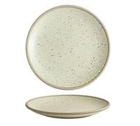 Luyckfrazy Ceramic Salad Plate Ceramic Serving Dish for Camping Outdoor Every Day Use(D)
