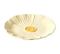 Luyckfrazy Ceramic Serving Plates, Pasta Plates, Dessert Serving Tray | Reusable Dinner Plates, Stable Trays, Easy Storage, for Camping Outdoor or Every Day Use(Shallow plate)