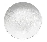 Luyckfrazy Round Ceramic Party Tray, Reusable Dinner Plates for Camping Outdoor or Every Day Use Microwave & Dishwasher Safe(White,B)