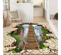 Luyemci Optical Illusions Suspension Bridge Area Rug, 70x140cm, 3D Cliff Valley Entryway Carpet, Durable Rubber Backed Non-Skid Carpets, Non-Shedding Easy Clean Low Pile Rugs for Family Nursery