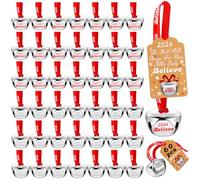 LUYI 60 Sets Christmas Bells Decor Christmas Believe Bell Ornaments Bulk Polar Express Bell Decorations Xmas Party Gifts Favors Tags Silver Sleigh Jingle Bells for Christmas Tree Decoration(1.6 Inch)