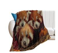 LUYYSKY Beautiful Natural Animal Red Pandas Flannel Blanket Bedding Sofa Decor Modern Colorful Plants Maple Leaves Pumpkins Pattern Soft Warm Throw Blanket, 76x100 cm
