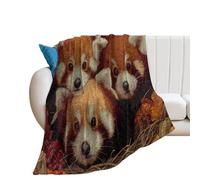 LUYYSKY Beautiful Natural Animal Red Pandas Lightweight Flannel Blanket Modern Colorful Plants Maple Leaves Pumpkins Pattern Cozy Soft Throw Blanket, 100x130 cm