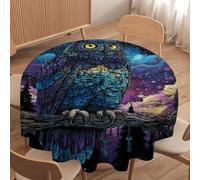 LUYYSKY Colorful Realistic Cool Owl Waterproof Round Tablecloth Modern Painting Art Starry Sky Galaxy Nebula Animals Owl Washable Table Cover for Kitchen-127 Wx127 L cm