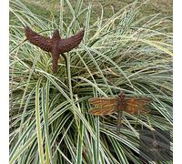 LV Bespoke Short Bird (Cast) Metal Garden Stake