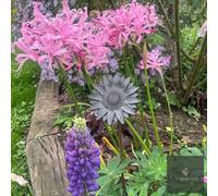 LV Bespoke Sunflower - Floral Metal Garden Stakes, Short.
