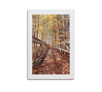 Lvalogy Autumn Photography S Framed Canvas Wall Art