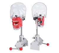 LVCHEN Manikin Simulator Head Lab Training Phantom Head with Typodont Teeth Model Fixed on Desk 1:1 High Emulation 360-Degree Adjustable for Dental Schools Education Practical Demonstration