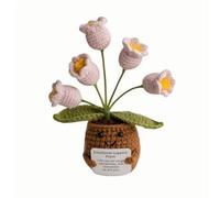 Lvguang Handmade Crochet Mini Potted Plant - Uplifting Pocket Hug with Affirmation Card, Positive Desk Decor & Motivational Gift for Home Office Travel