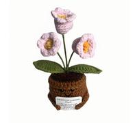 Lvguang Handmade Crochet Mini Potted Plant - Uplifting Pocket Hug with Affirmation Card, Positive Desk Decor & Motivational Gift for Home Office Travel