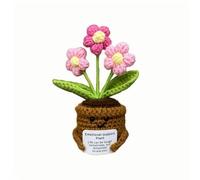 Lvguang Handmade Crochet Mini Potted Plant - Uplifting Pocket Hug with Affirmation Card, Positive Desk Decor & Motivational Gift for Home Office Travel
