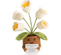 Lvguang Handmade Crochet Mini Potted Plant - Uplifting Pocket Hug with Affirmation Card, Positive Desk Decor & Motivational Gift for Home Office Travel