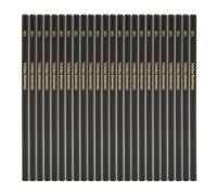 lvifloae 24 Pieces Graphite Hexagonal Sketch Pencils Break Proof Drawing Pencils Professional Drawing Sketching Supplies Charcoal Stick for Artists Beginners Students (10b)