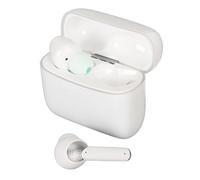 lvifloae Advanced Wireless Language Translator Earbuds Noise Canceling Music Calling Translator Earphones with 144 Language AI Online Real Time Translation for Travel Business Calls (White)