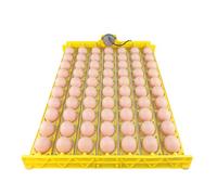 lvifloae Automatic Egg Turner Tray for Incubators, 70 Egg Capacity with Quiet Motor, Fits 51 to 55cm Universal Incubator for Hatching Chicken Duck Quail Poultry Eggs