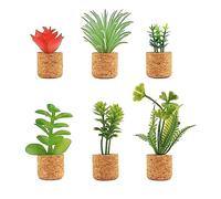 Lvsnswio 6 Pcs Cactus Refrigerator Magnets Mini Cute Succulent Plant Fridge Magnet Decoration Parts Accessories for Home Kitchen Office