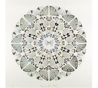 LVTFCO Damien Hirst Poster The Circle Butterfly Wall Art Damien Hirst Prints Damien Hirst Canvas Painting For Home Wall Decor Picture 50x50cmx1 No Frame