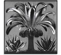 LVTFCO Famous M.C. Escher Poster《Palm Tree》Wall Art M.C. Escher Prints M.C. Escher Painting Canvas For Home Wall Art Decor Picture 50x50cm No Frame