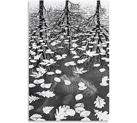 LVTFCO Famous M.C. Escher Posters, Art Print, Canvas Wall Art, Office Wall Decor, Living Room, 40x60cm, No Frame