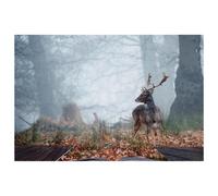 LVTISEE Fallow Deer Stag in Pages of Magical Book Placemat for Dining Table 1 Pcs, Cloth Place Mat Heat-Resistant Stain Resistant Washable Kitchen Table Mat