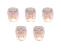 LVYUDS 5/10pcs Memorial Lanterns to Release in Sky Make a Wish Chinese Lanterns Simple to Operate Convey Thoughts for Couples, New Year(Printed - 5pcs)