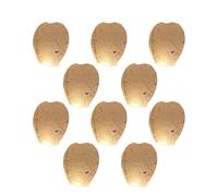 LVYUDS Party Chinese Lanterns Safe Paper Lanterns to Release in Sky with Pen Mark Your Wish Entrust Your Hopes for Festive Occasions(White,10pcs,80cm)