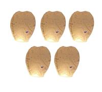 LVYUDS Party Chinese Lanterns Safe Paper Lanterns to Release in Sky with Pen Mark Your Wish Entrust Your Hopes for Festive Occasions(White,5pcs,80cm)