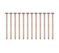LVYXON 12pcs Tree Killer Nails 4-inch Copper Nails For Killing Trees Stump Root,Stump Removal Spikes Hardware Garden Hand Tools