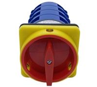 LW26GS-125A Cam Switch 690V(2P 8Terminals)