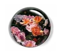 LWAY Paperweight 80mm Crystal Dome (Rose)