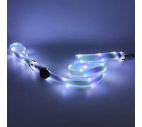 LWBMG Led Dog Leash 3 Lighting Modes Light Up Dog Leashes Rechargeable 4ft Lighted Pet Leash for Night Walking, Silicone Pet Leashes for Small Medium Large Dogs Walking at Night Purple