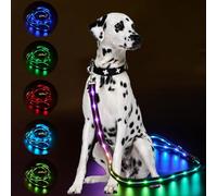 LWBMG Led Dog Leash 9 Lighting Modes Light Up Pet Leash Rechargeable - 4 Ft Lighted Dog Leashes for Night Walking Safety Glow in Dark, Silicone Pet Lead for Small Medium Large Dogs Walking at Night